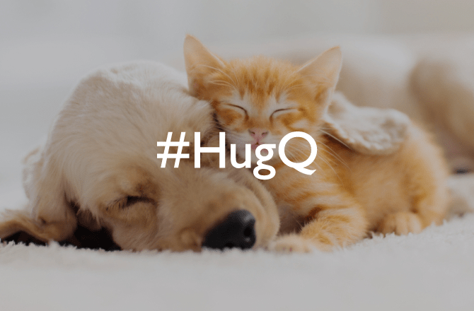 タツ犬と猫の病院 | #HugQ（ハッシュハグ）