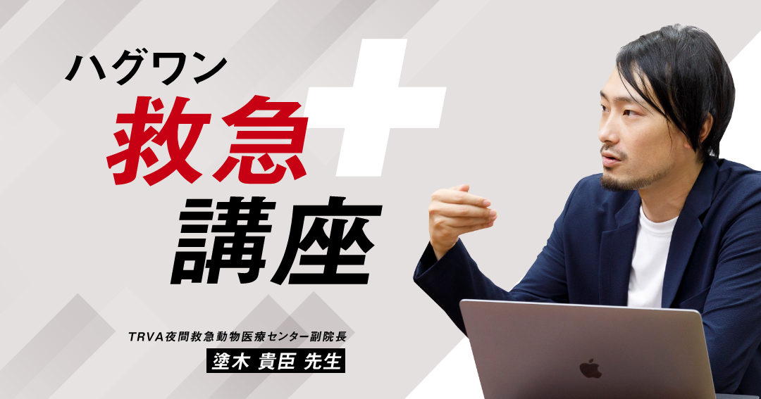 【ハグワン救急講座②】夜間救急の専門医に聞く「病気・症例別の対応ノウハウ」