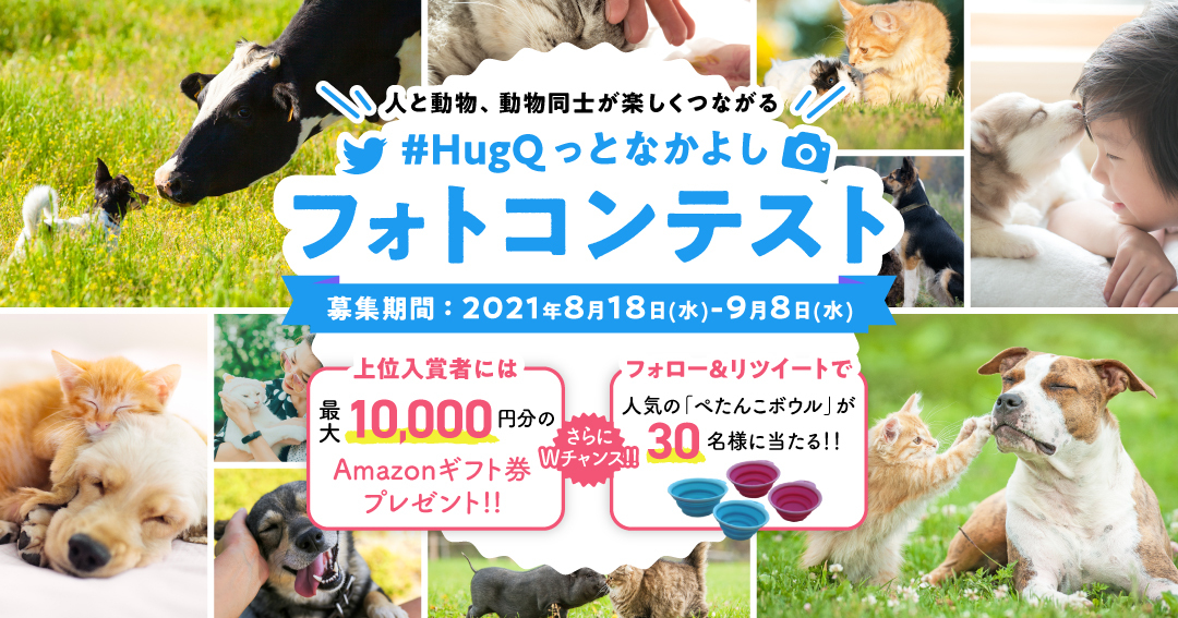 人と動物、動物同士が楽しくつながる #HugQっとなかよし フォトコンテスト