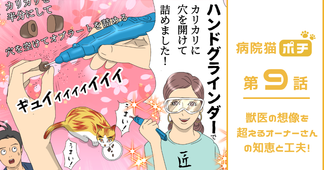 猫マンガ vol.9】「病院猫ポチ」9話 獣医の想像を超えるオーナーさんの