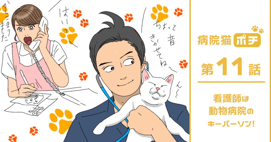 【猫マンガ vol.11】「病院猫ポチ」11話　看護師は動物病院のキーパーソン！