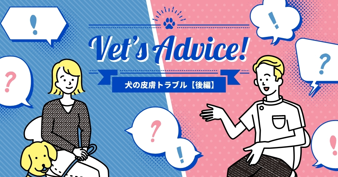 Vet’s Advice! 皮膚トラブル【後編】