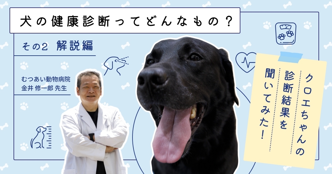 犬の健康診断ってどんなもの 解説編 クロエちゃんの診断結果を聞いてみた Hugq ハッシュハグ