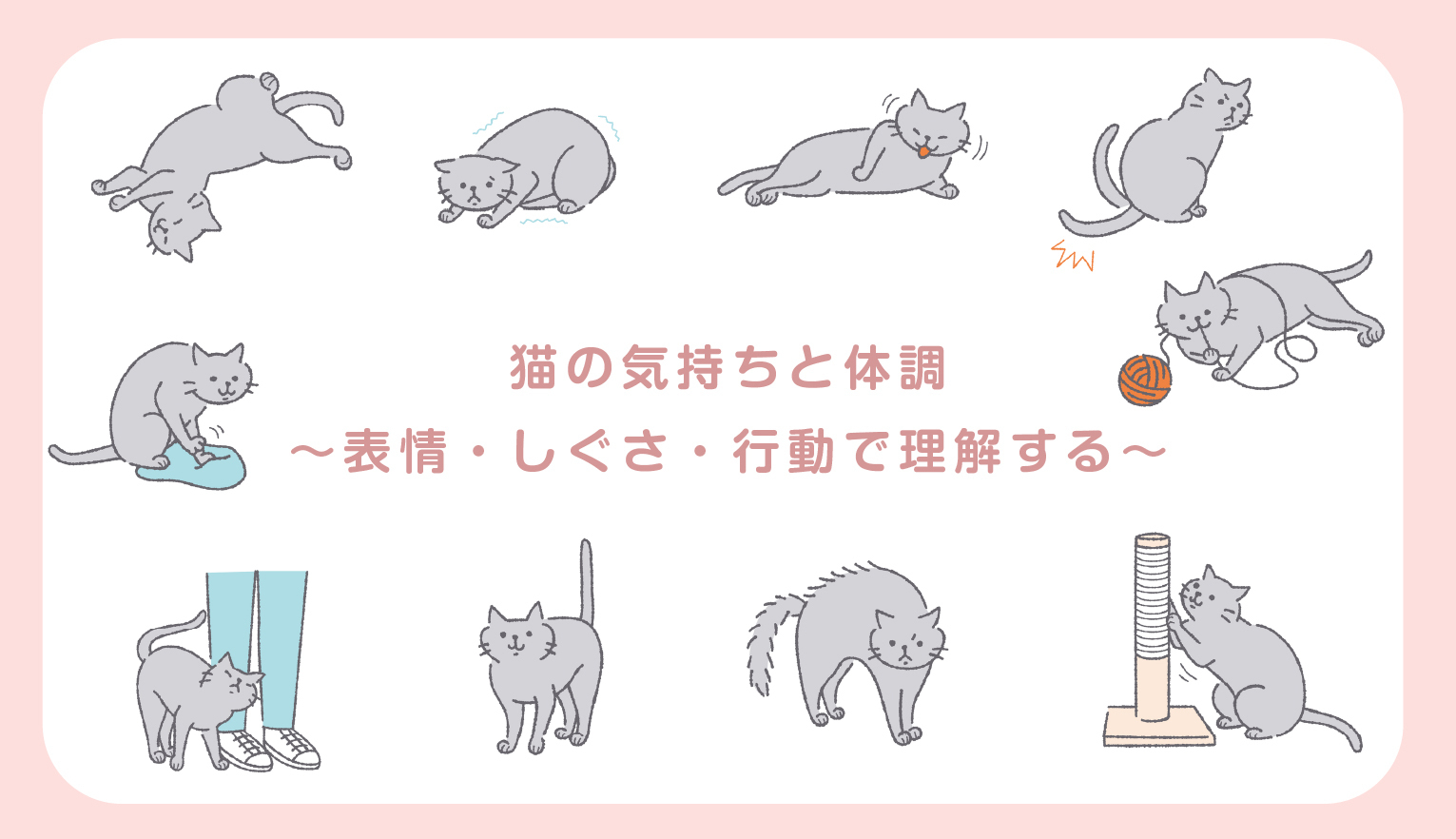 猫の気持ちと体調　～表情・しぐさ・行動で理解する～