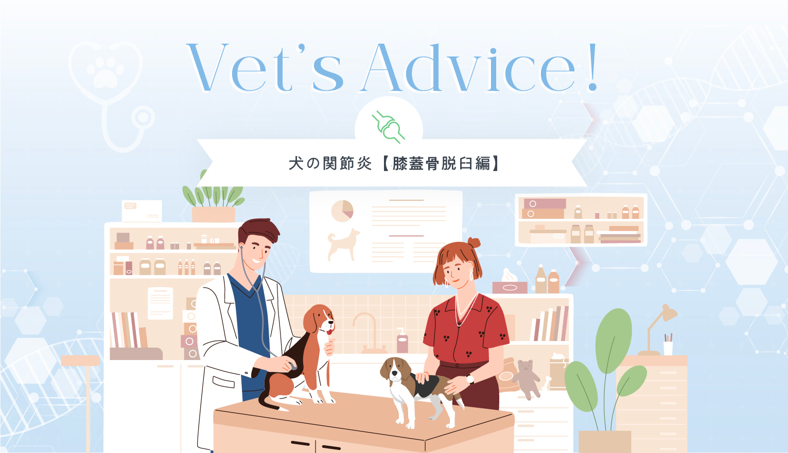 Vet’s Advice!　犬の関節炎【膝蓋骨脱臼編】