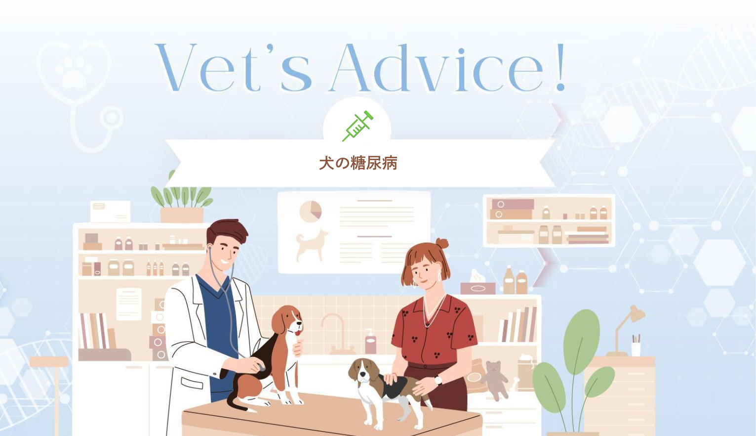 犬の糖尿病とは？症状や治療方法も解説【獣医師監修】