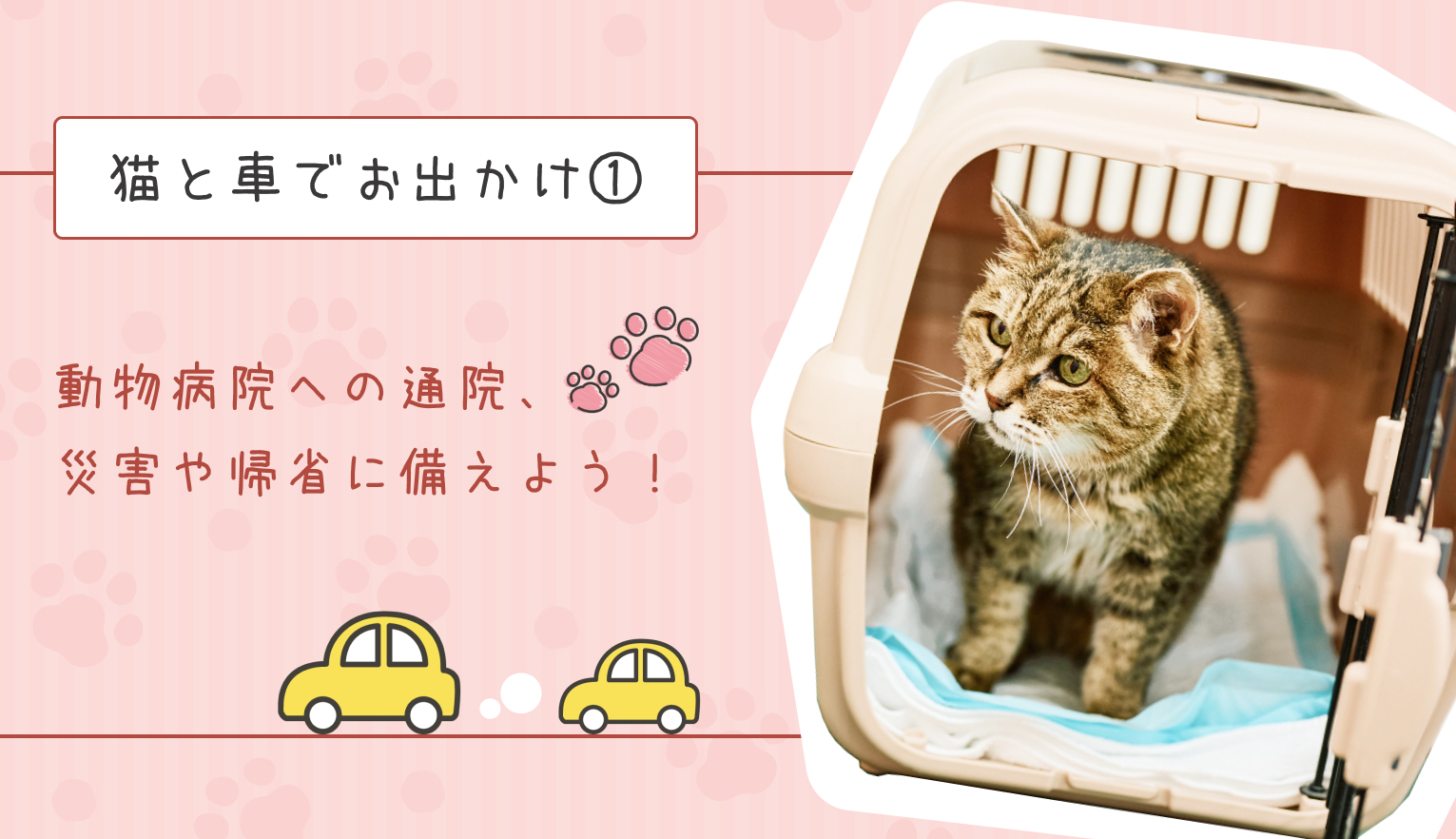 猫と車でお出かけ① 準備編「動物病院への通院、災害や帰省に備えよう」