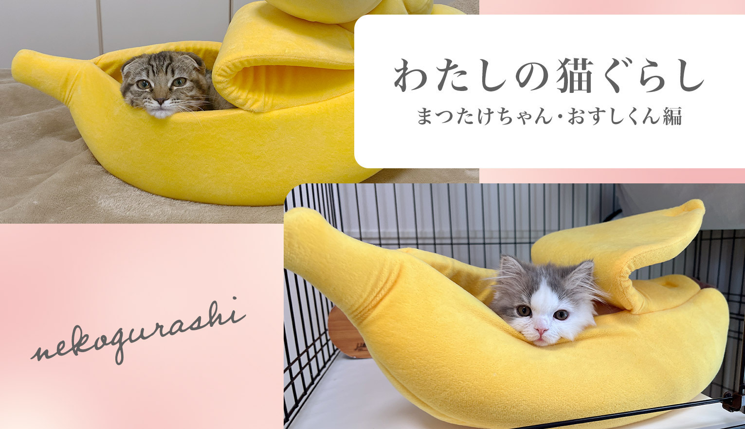 わたしの猫ぐらし「まつたけちゃん・おすしくん」前編