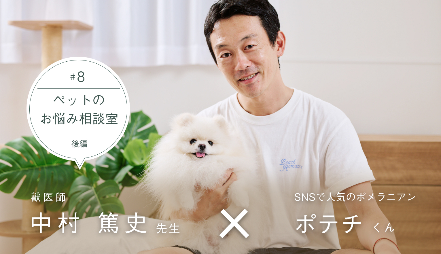 小型犬種・ポメラニアンならではの悩みに中村先生がアドバイス！気になるポメハゲやパテラの対策は？（後編）