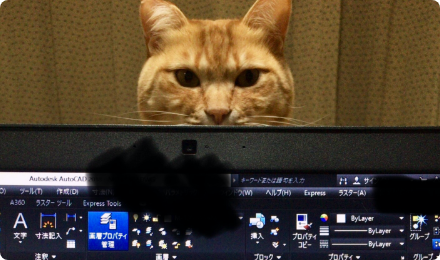 パソコン越しに見ている猫