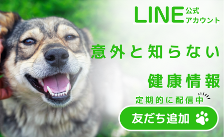 LINE友だち募集中