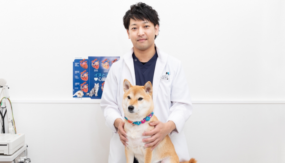 柴犬と映る獣医師の木﨑 皓太 先生