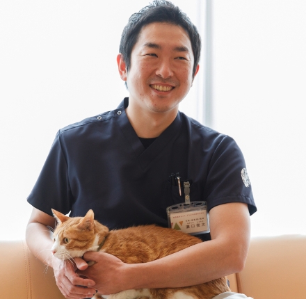 病院猫を抱きながら、ワラビー動物病院グループのビジョンを説明する獣医師の溝口先生
