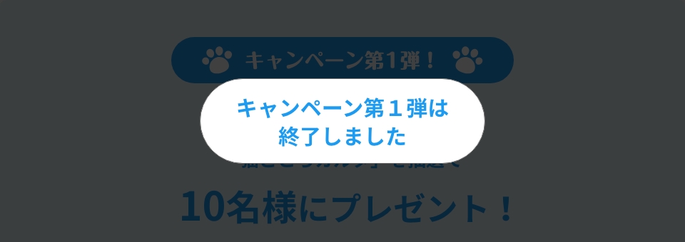 キャンペーン第１弾は終了しました