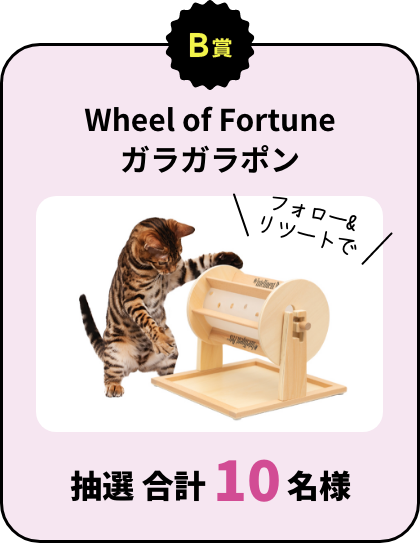 B賞：Wheel of Fortune ガラガラポン フォロー&リツートで 抽選 合計10名様