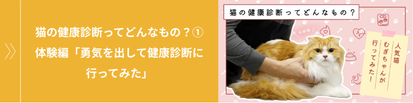 猫の健康診断ってどんなもの？① 体験編「勇気を出して健康診断に行ってみた」