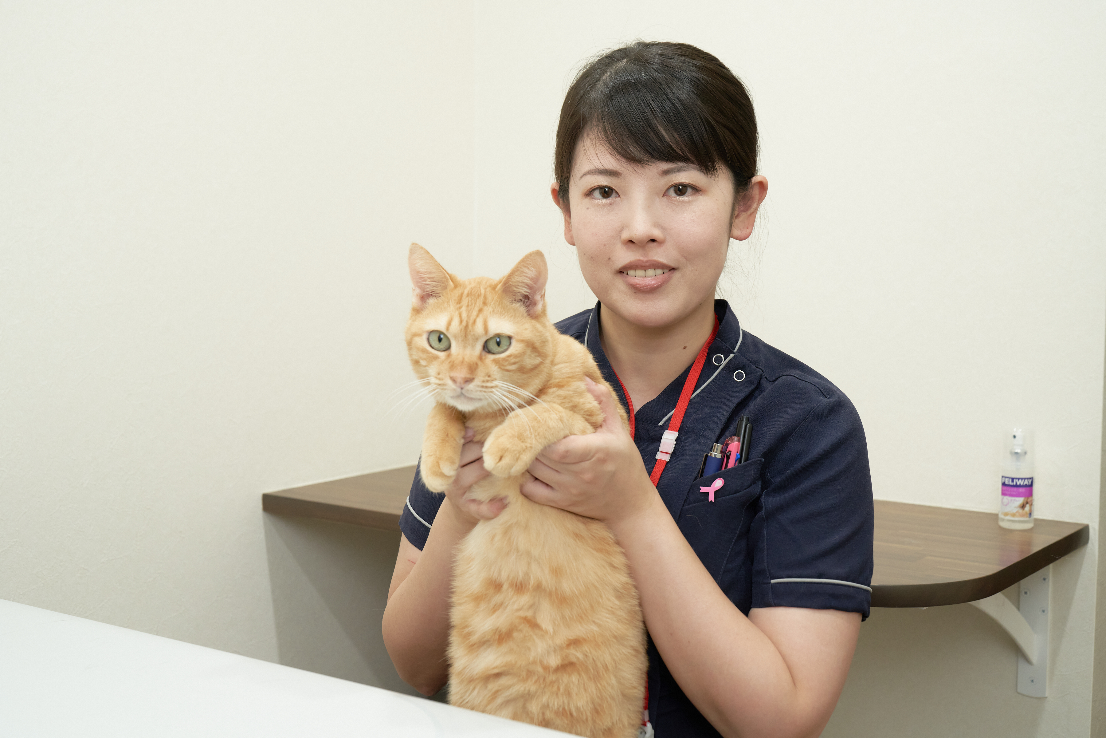 佐藤獣医師と愛猫