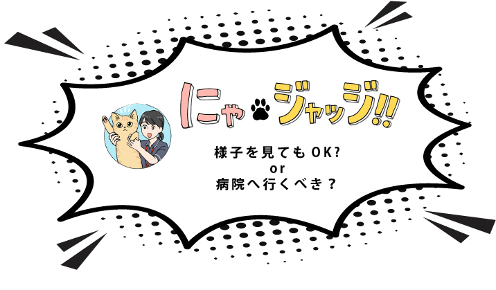 にゃ・ジャッジ!!様子を見てもOK？or病院へ行くべき？