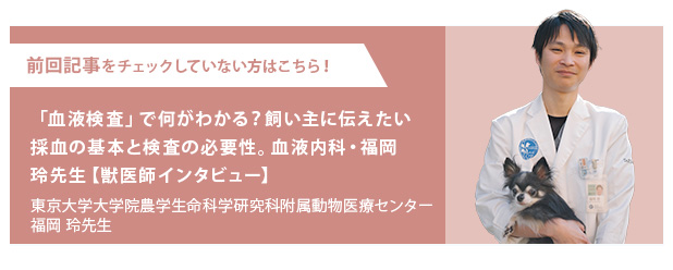 東京大学大学院農学生命科学研究科附属動物医療センター・福岡　玲先生