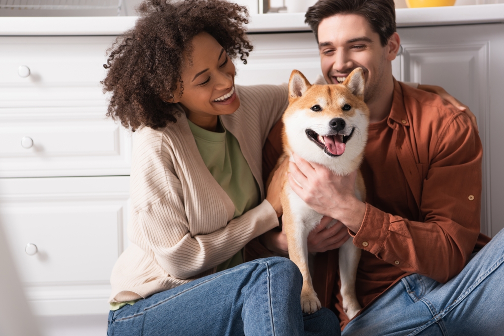 柴犬と楽しい時間を過ごす家族