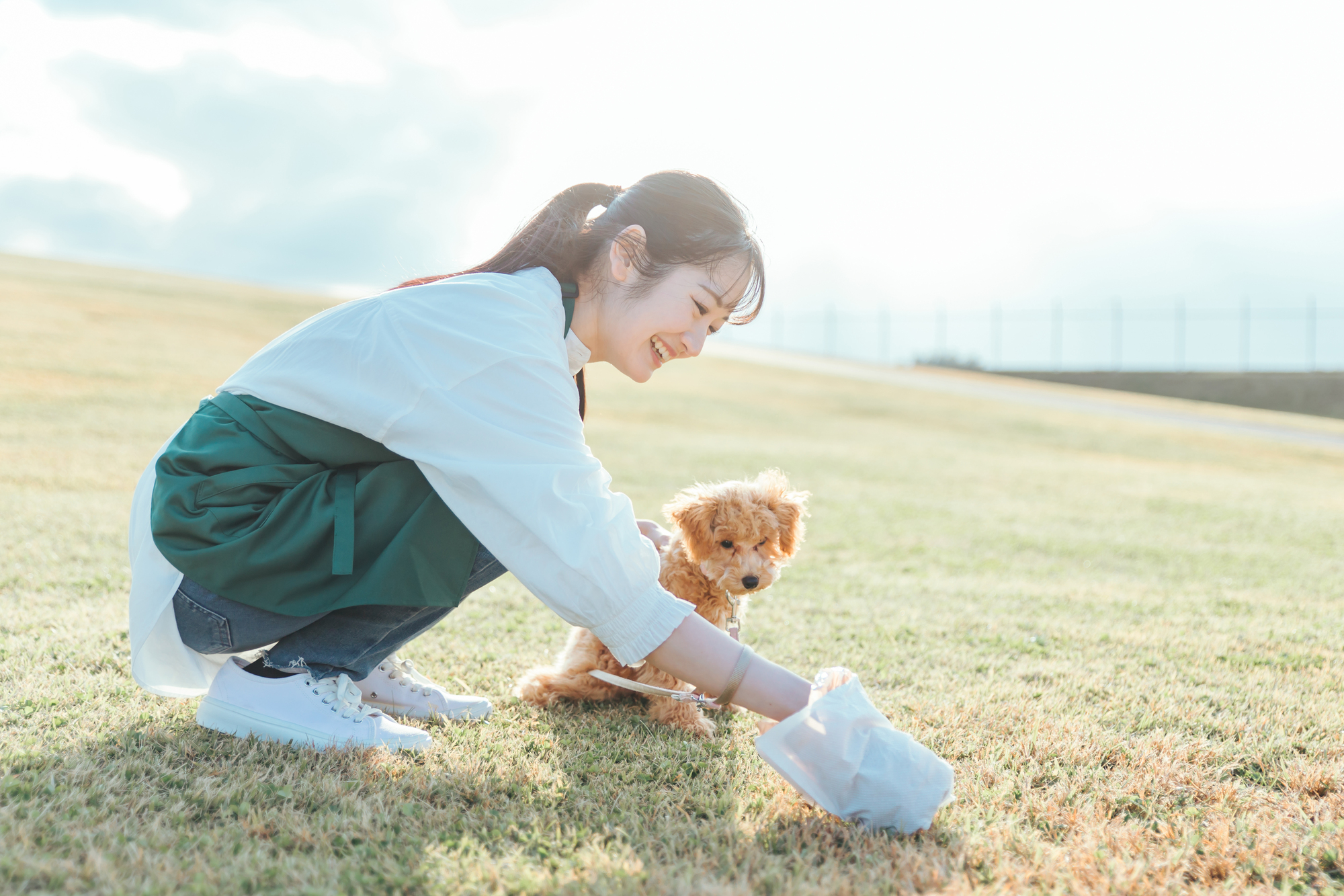 トイレの処理をする飼い主