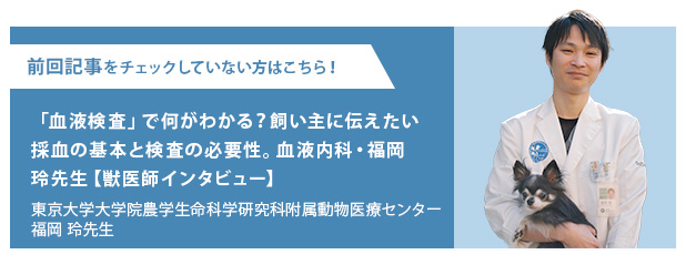 東京大学大学院農学生命科学研究科附属動物医療センター・福岡　玲先生