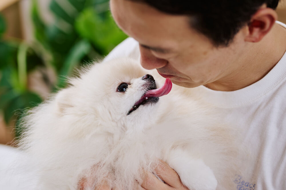 中村先生をなめるポテチくん