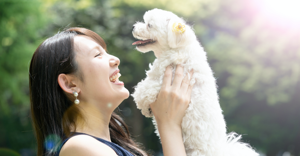 白い犬を抱き上げながら笑顔な女性