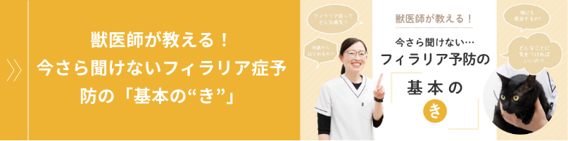 獣医師が教える！今さら聞けないフィラリア症予防の「基本の“き”」