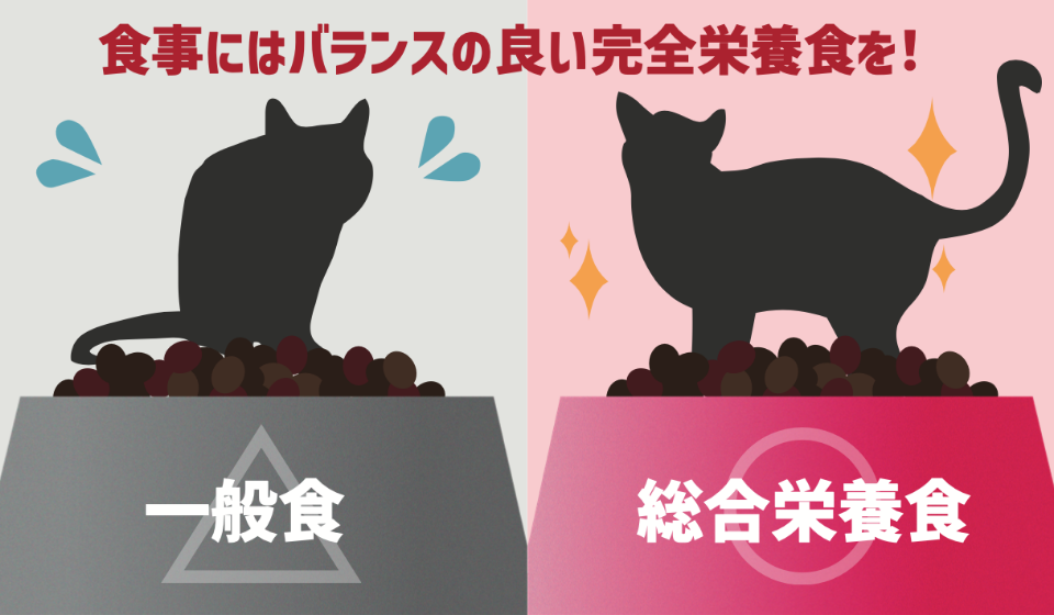 猫の食事にはバランスの良い完全栄養食を！