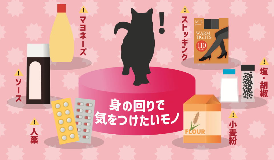 猫の身の回りで気を付けたい食材や食品