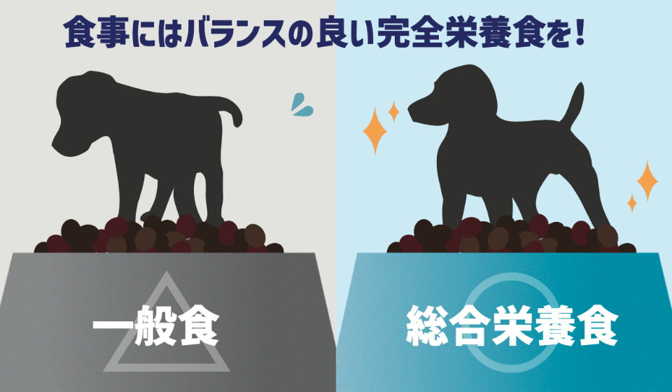 犬の一般食と総合栄養食