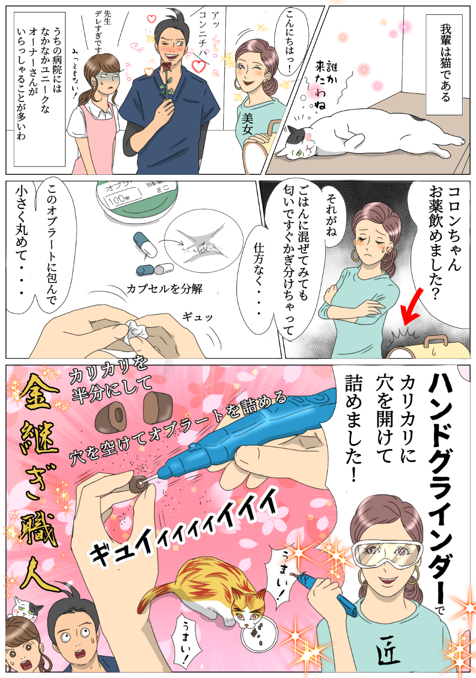 猫マンガ vol.9】「病院猫ポチ」9話 獣医の想像を超えるオーナーさんの