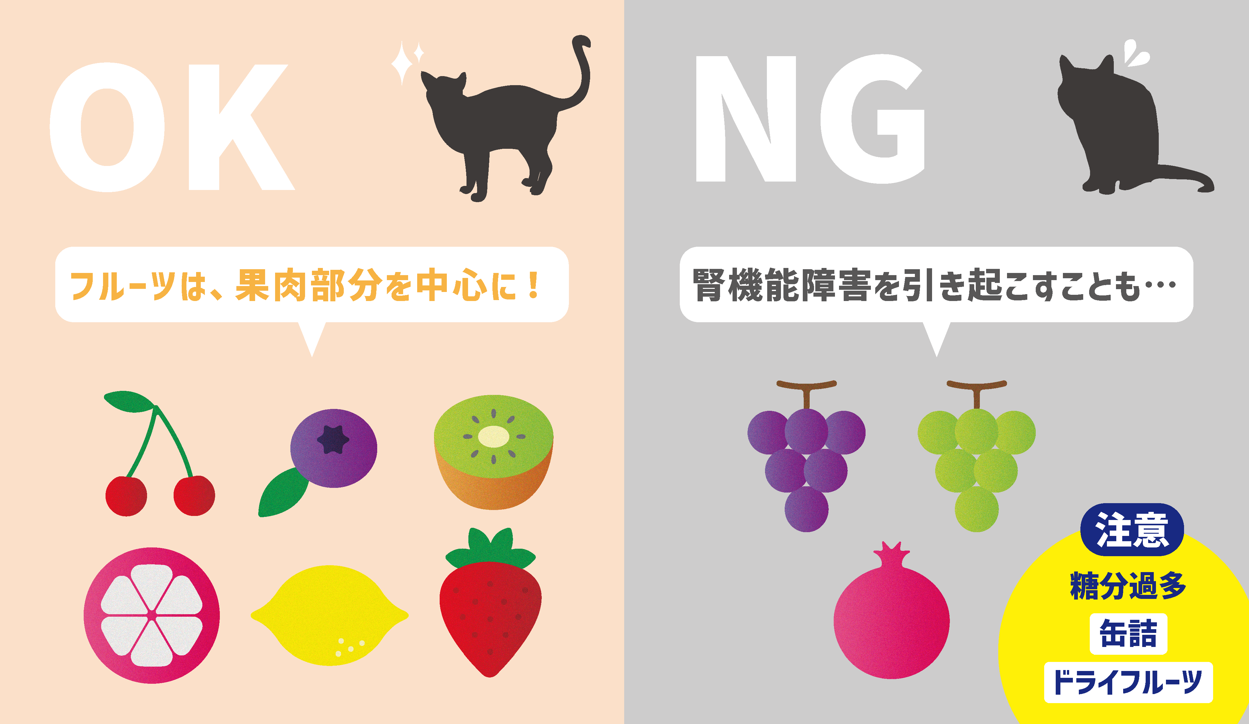 猫の果物類のOKポイント・NGポイント