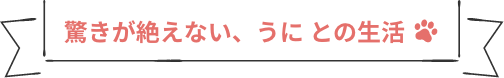 驚きが絶えない、うに との生活