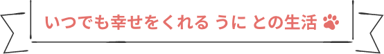 いつでも幸せをくれる うに との生活