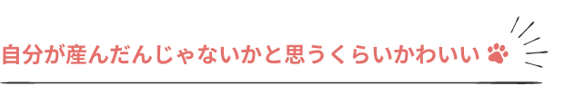 自分が産んだんじゃないかと思うくらいかわいい