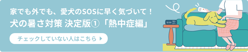 犬の暑さ対策熱中症編