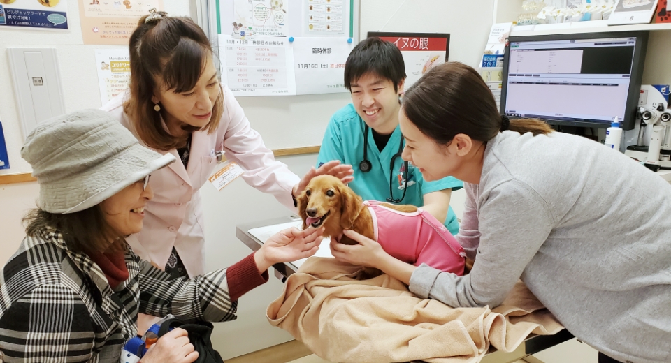 動物病院にて、獣医師とともにグリーフケアを行っている女性獣医師