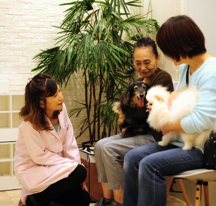 待合室診療にて、ペットと飼い主に寄り添う女性獣医師