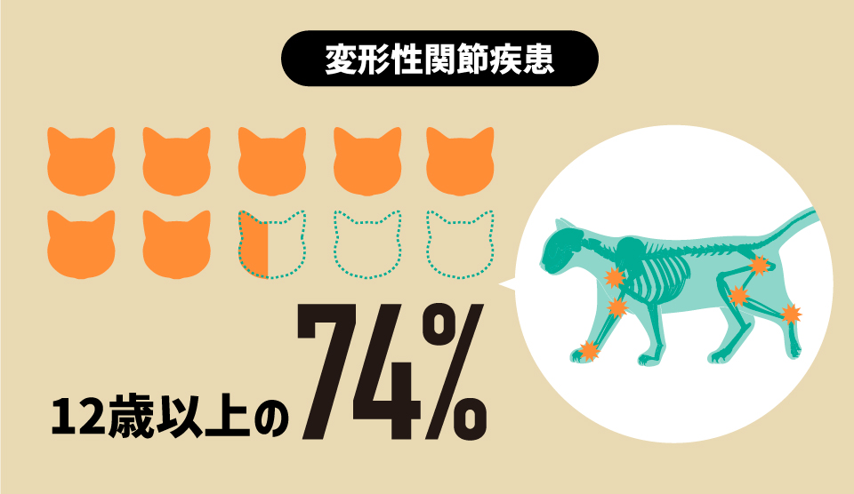 12歳以上の猫の74％が変形性関節疾患を患っている