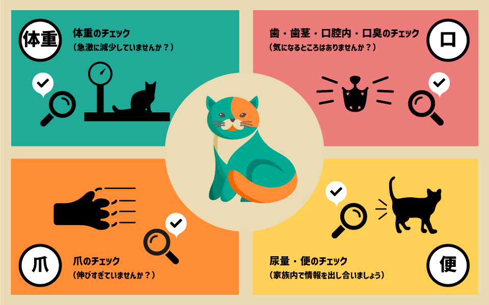 自宅で簡単にできる長寿猫の4つの健康チェックポイント