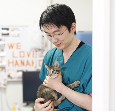保護猫のキジちゃんを抱っこする獣医師の太田 快作 先生