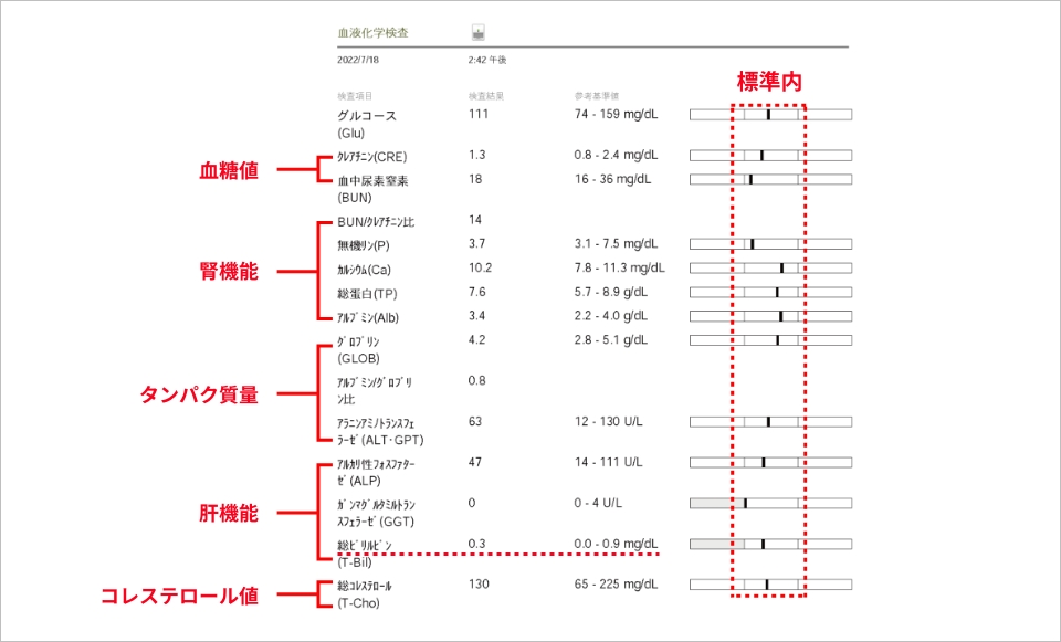 猫の血液検査結果の見方