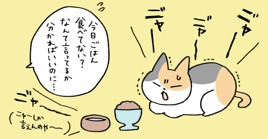 猫がフードを食べずに、お水もあまり飲んでいないイラスト