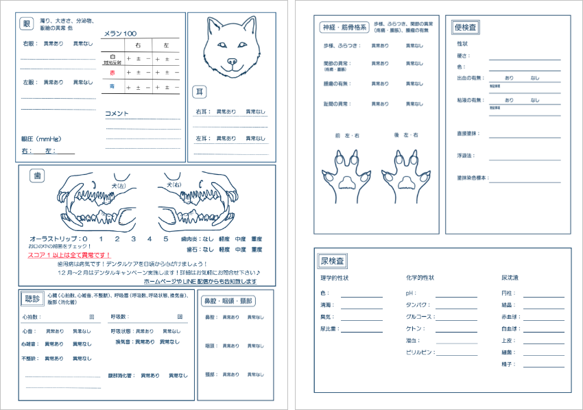 「Team HOPE」の健康診断報告書