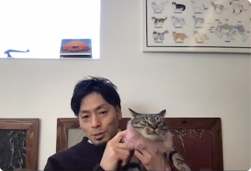 猫の体をチェックする獣医師