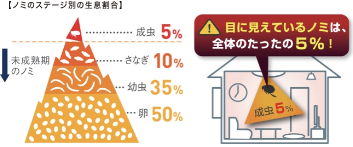 ノミのステージ別の生息割合