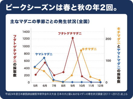 主なマダニの季節ごとの発生状況