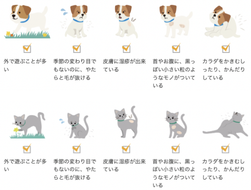 犬猫のノミマダニチェックポイント